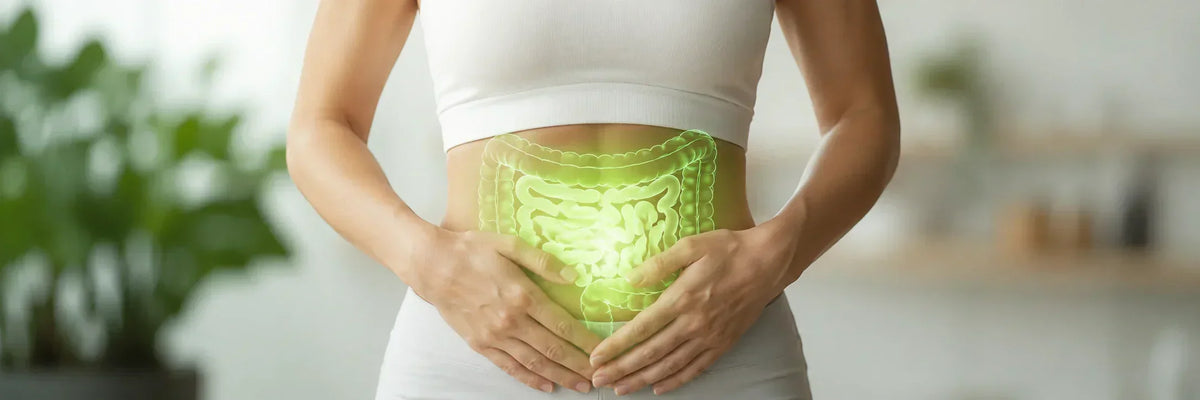 BPC-157 After Antibiotics: How This Peptide Supports Gut Repair and Microbiome Recovery