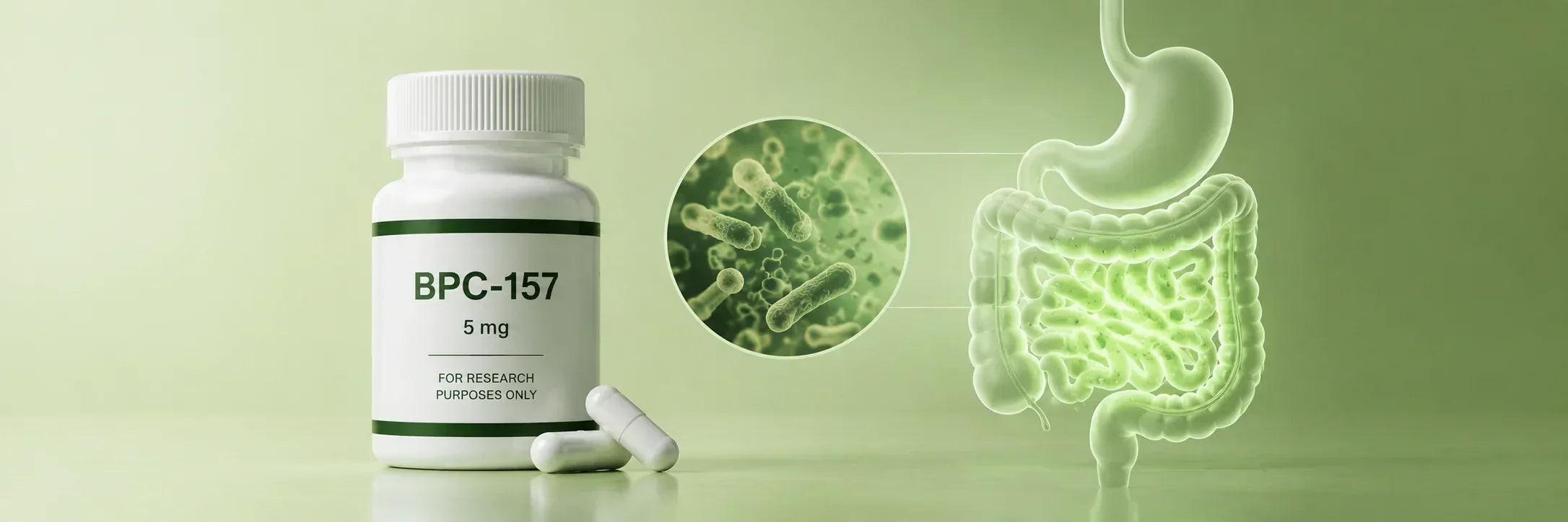 BPC-157 for SIBO: What Limited Research Suggests